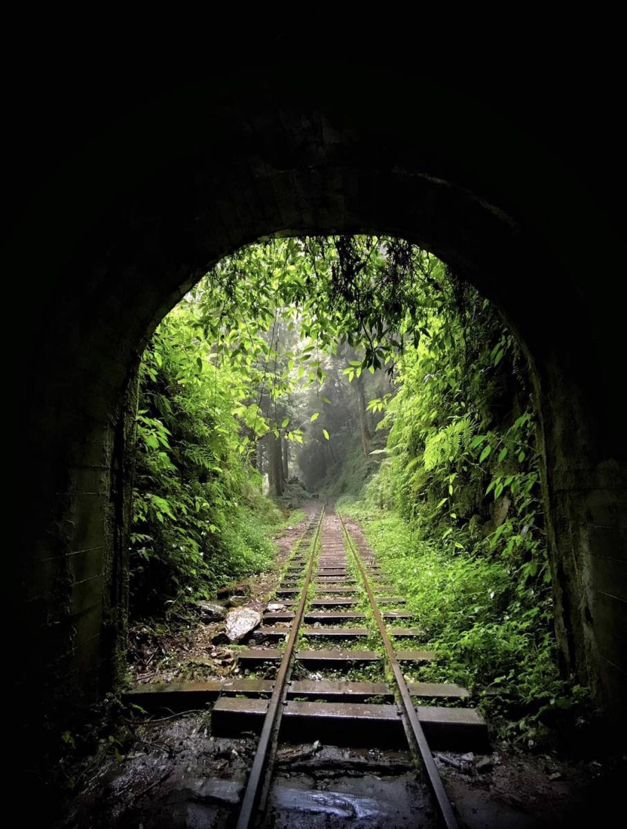 嘉義眠月線阿里山二日遊 | 走入失落的森林鐵路