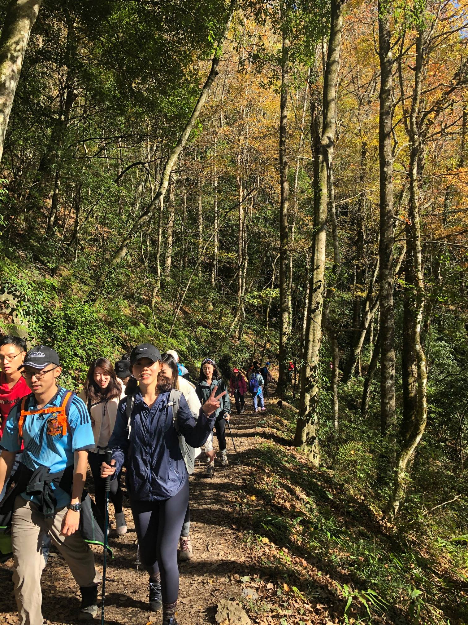 Hsinchu Xia Kalo Maple Trekking Day Tour | Full Vertical Walk