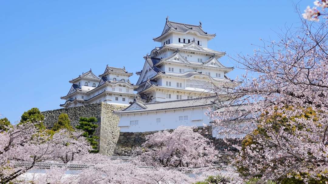 Japan Private tour price and customized itinerary
