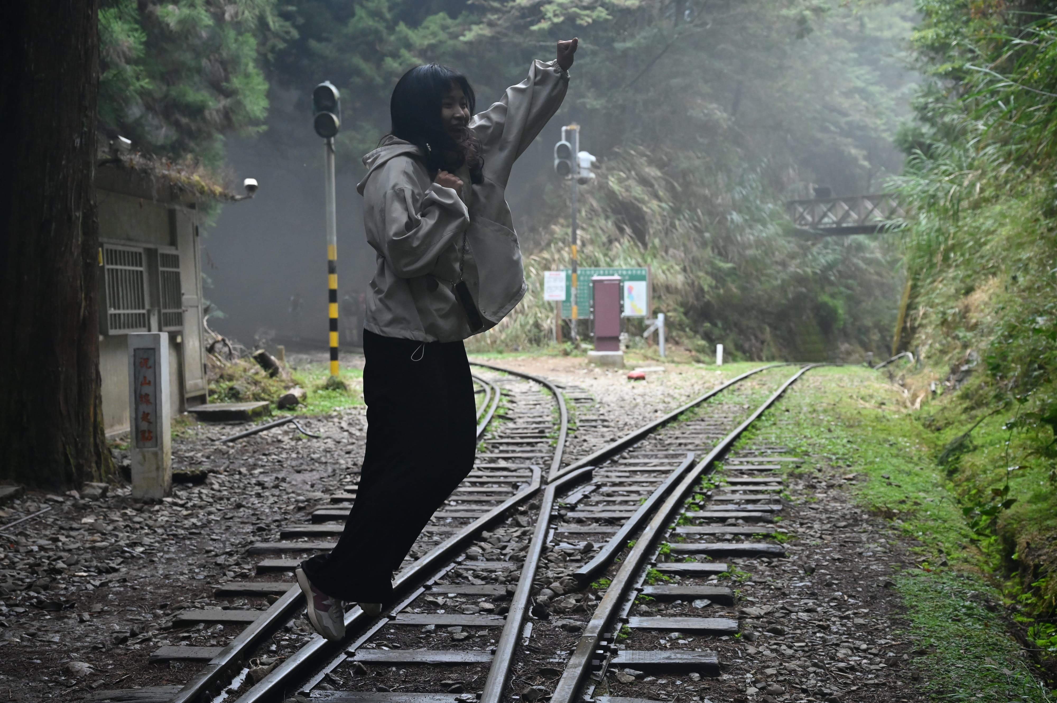 嘉義眠月線阿里山二日遊 | 走入失落的森林鐵路