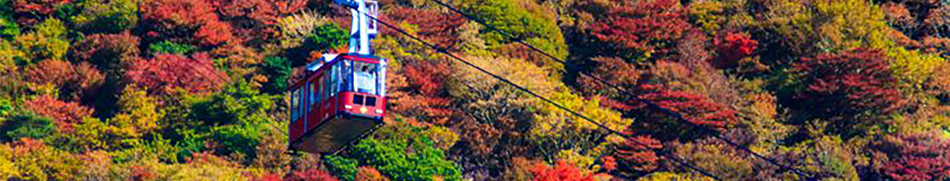 Kyushu Hot Spring and Autumn Leaves 7 days tour