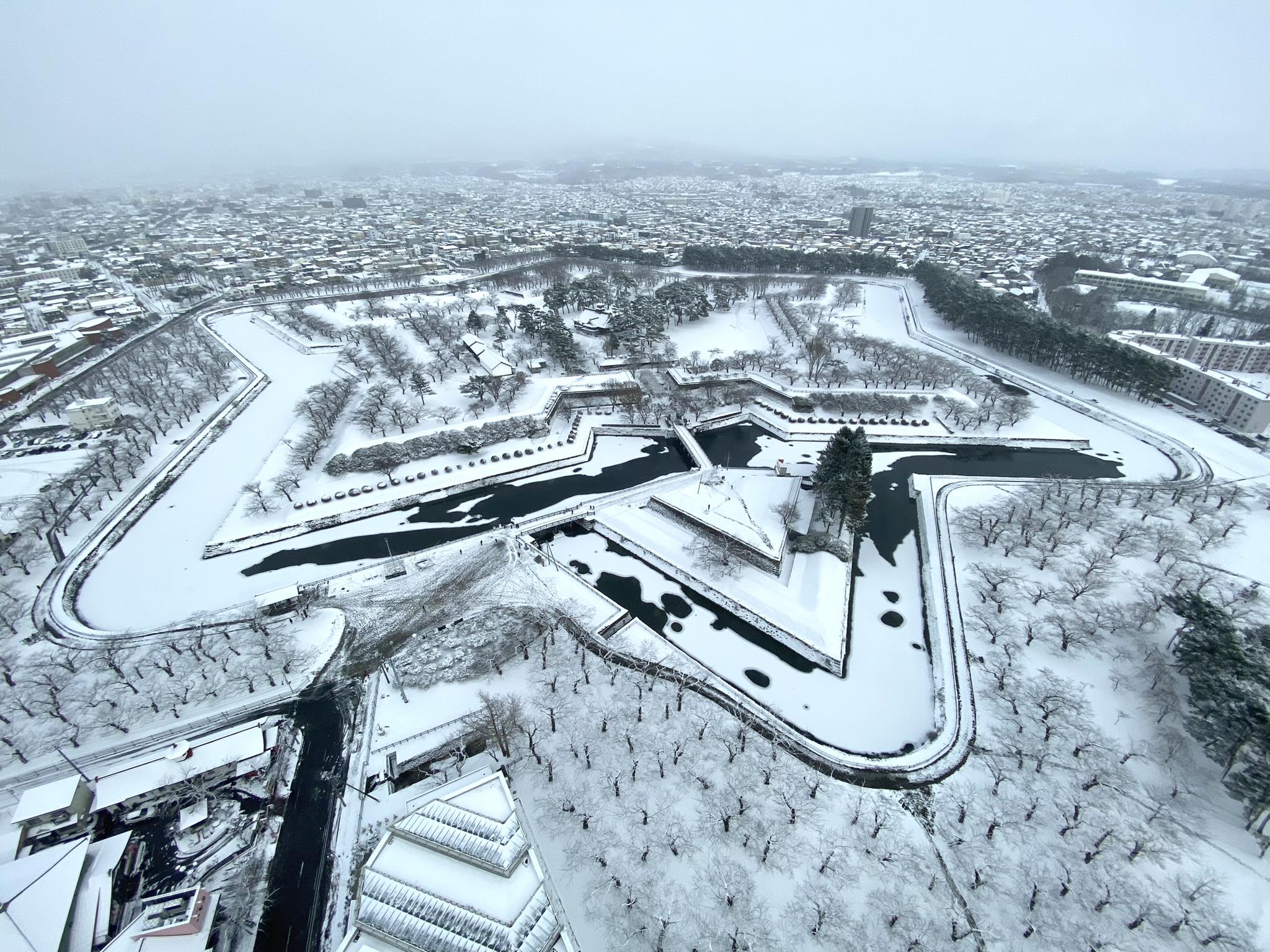 细川蓝 