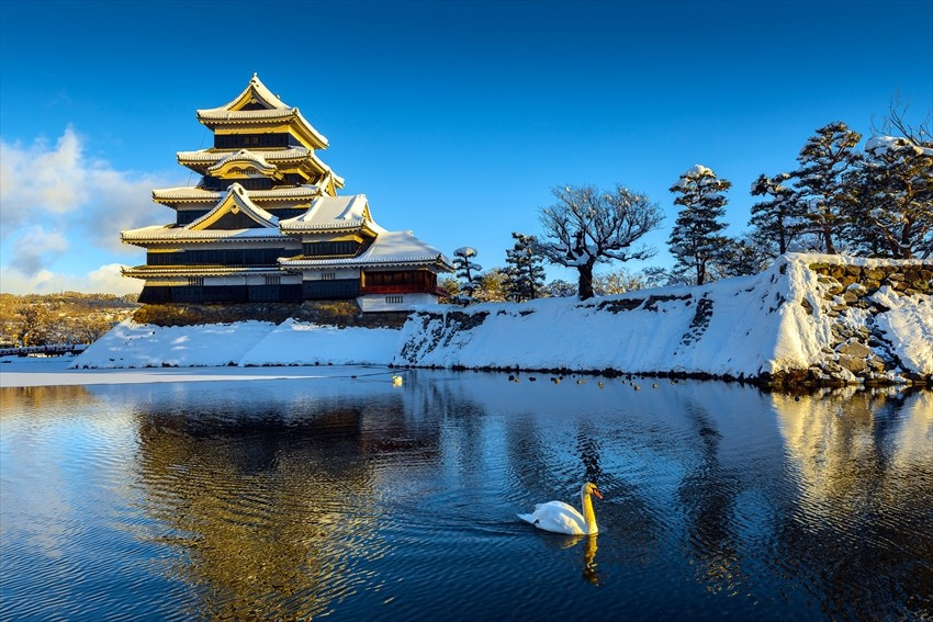 大阪冬季暖心之旅 五日溫泉美食探險