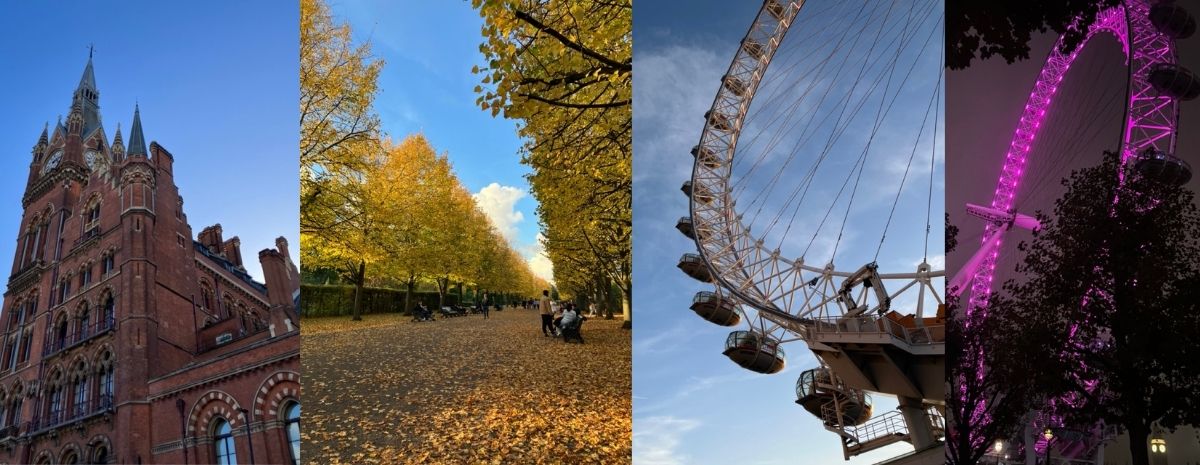 倫敦經典一日私人導覽