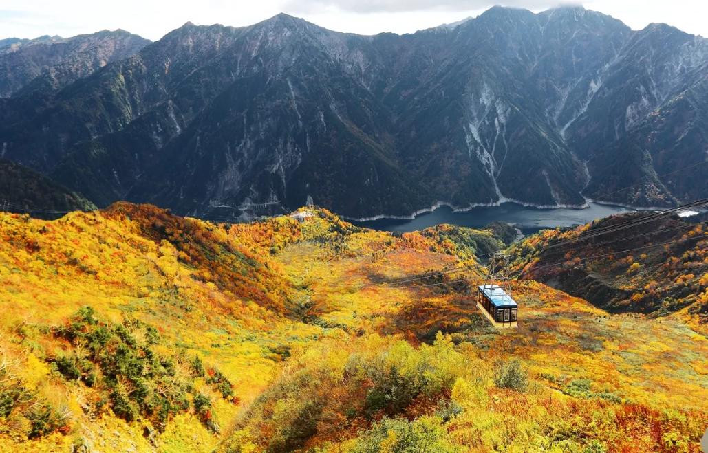 Central Japan & Hokuriku 5-Day Autumn Foliage Itinerary｜Kamikochi・Tateyama Kurobe Alpine Route・Shirakawa-go・Takayama Old Town