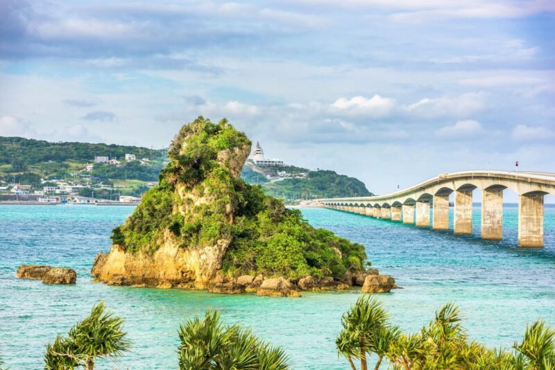 冲绳冬日五日游｜赏鲸体验・美丽海水族馆・古宇利岛海景路线