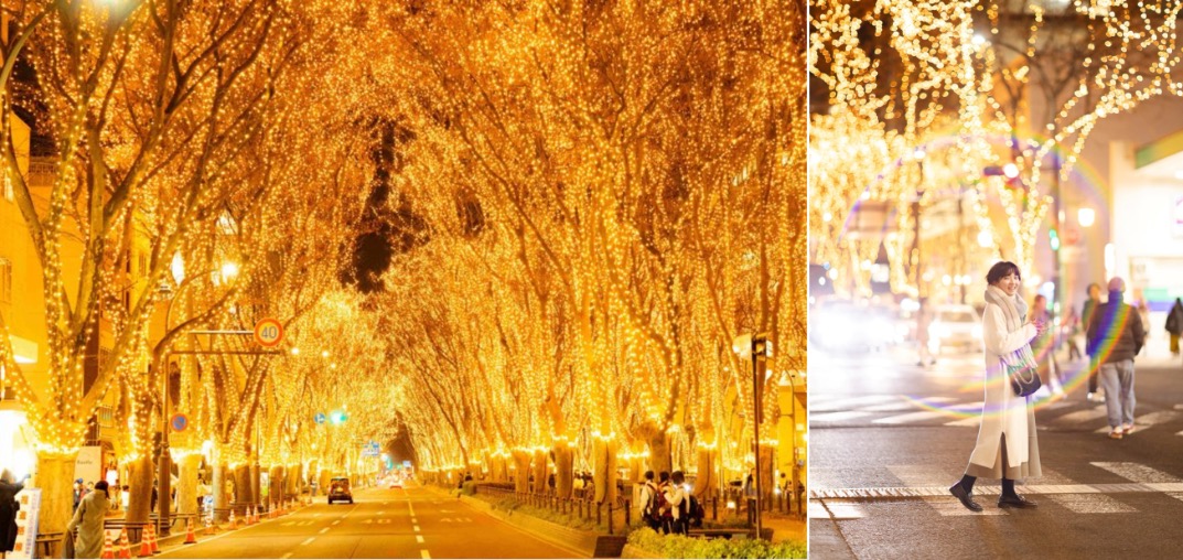 東北冬日雪國名湯六日遊｜銀山溫泉・藏王樹冰・角館雪景經典路線