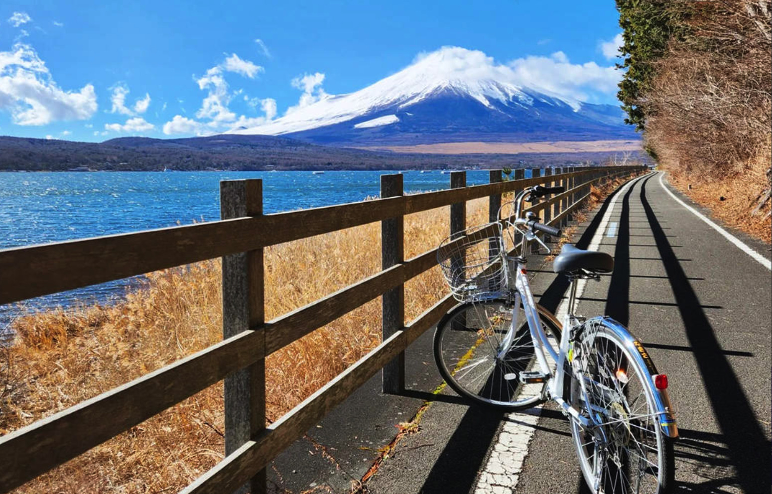 東京賞櫻六日遊｜東京櫻花名所、富士山河口湖、經典景點包車行程