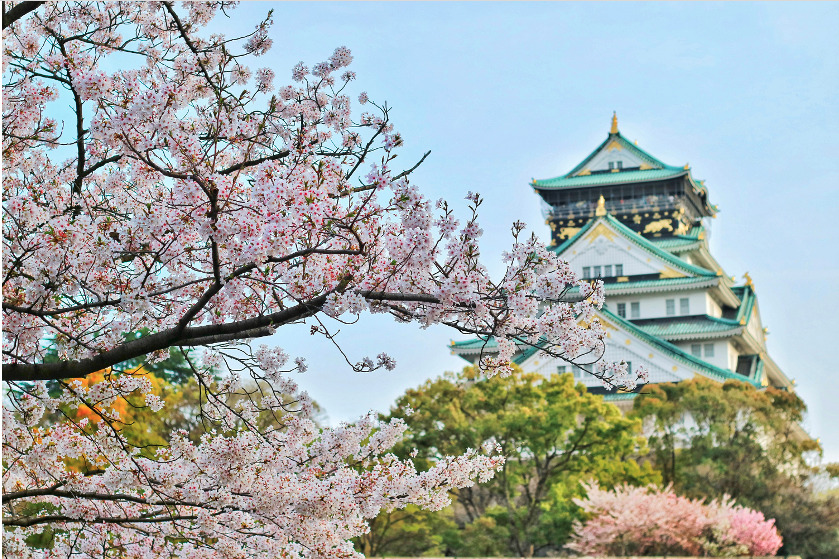 大阪赏樱六日游｜大阪城、京都夜樱、岚山小火车、神户景点一次玩