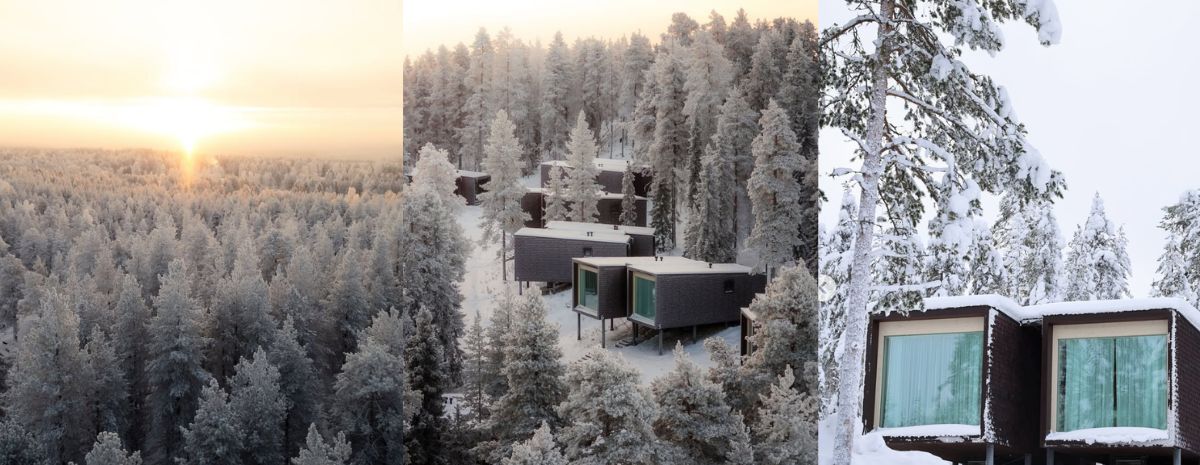 芬兰极光旅游住宿推荐｜Arctic TreeHouse Hotel 北欧树屋饭店