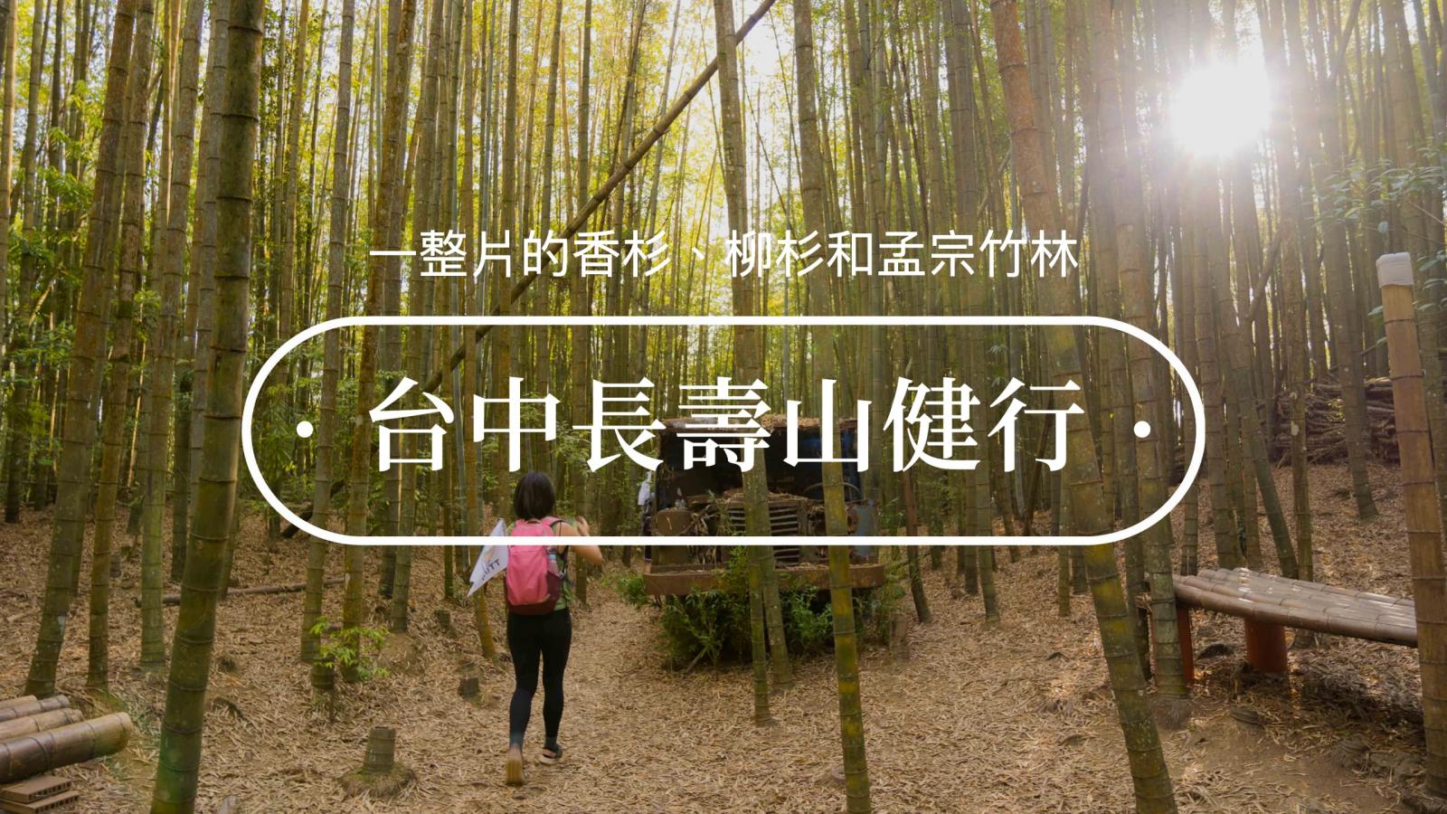 想感受被森林包围的感觉吗？来台中长寿山就对了！