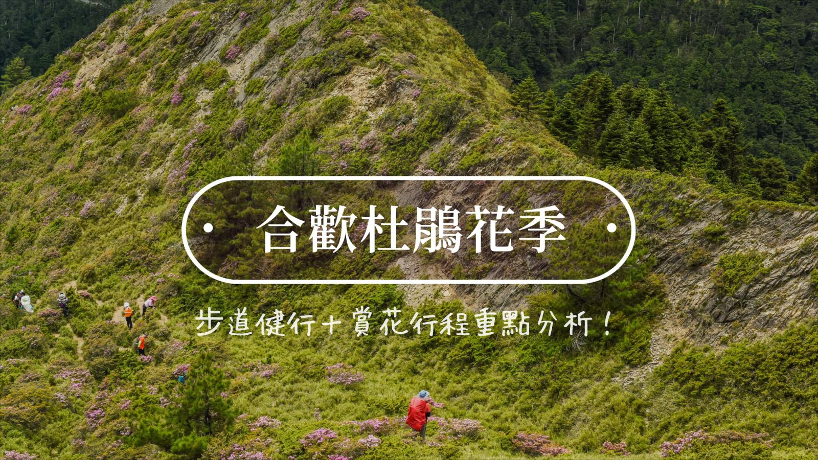 2022合歡山杜鵑花季！步道健行＋賞花行程重點分析！-0
